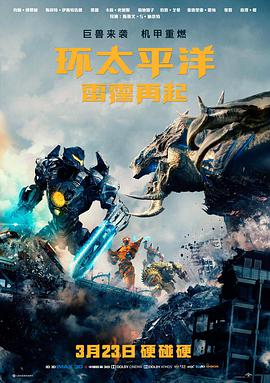 回声档案 悬疑电影在线观看